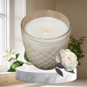 Ansel 8oz Coconut Wax candle _Mango &Coconut Milk Scented jar